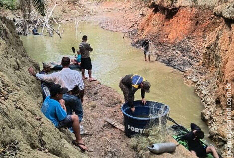 Força-tarefa resgata mais 350 peixes ilhados por causa da sequidão entre Bonito e Jardim Força-tarefa resgata mais 350 peixes ilhados por causa da sequidão entre Bonito e Jardim