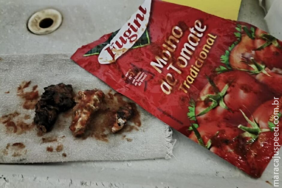 Homem acha corpo estranho semelhante a rato em molho de tomate Homem acha corpo estranho semelhante a rato em molho de tomate