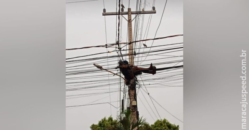 Homem é flagrado tirando soneca em fios de rede elétrica no Ouro Verde Homem é flagrado tirando soneca em fios de rede elétrica no Ouro Verde