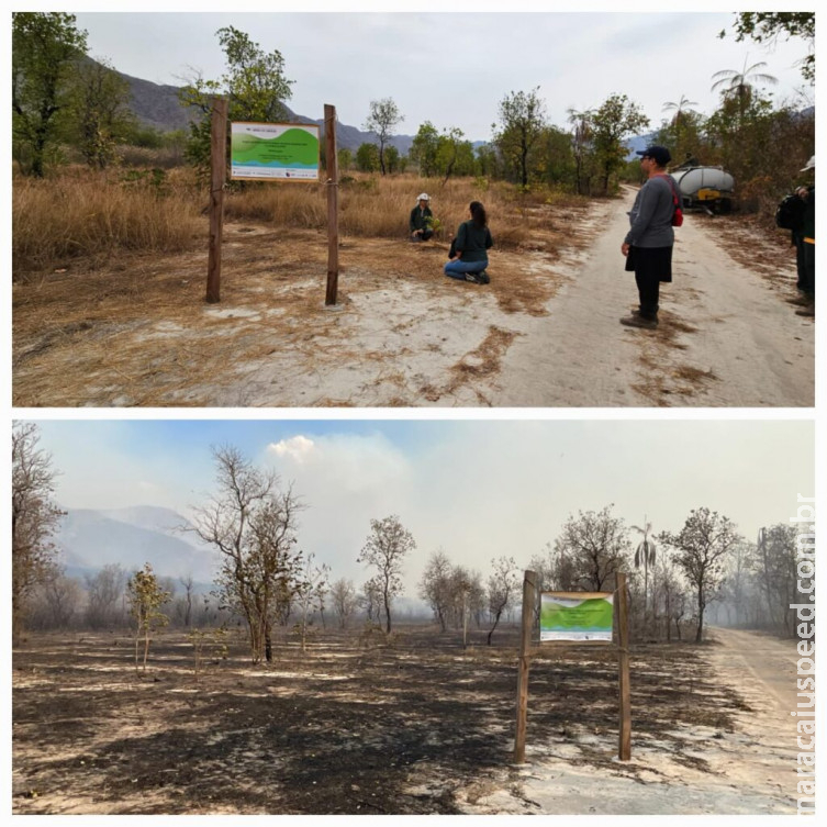 Incêndio avança e atinge área que vinha passando por recuperação na Serra do Amolar Incêndio avança e atinge área que vinha passando por recuperação na Serra do Amolar
