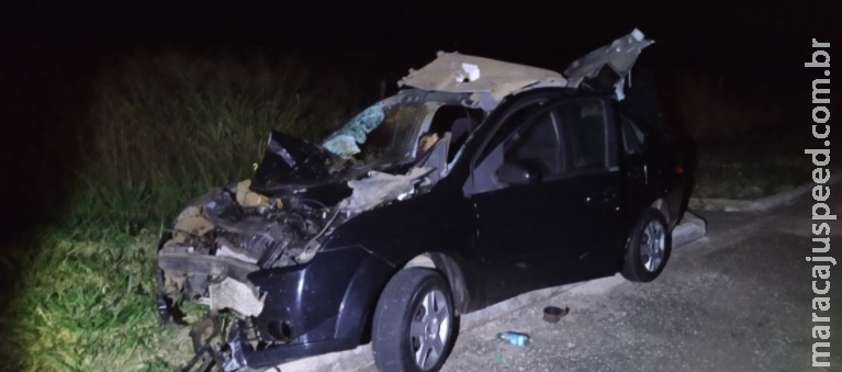 Mais um acidente é provocado por animais 