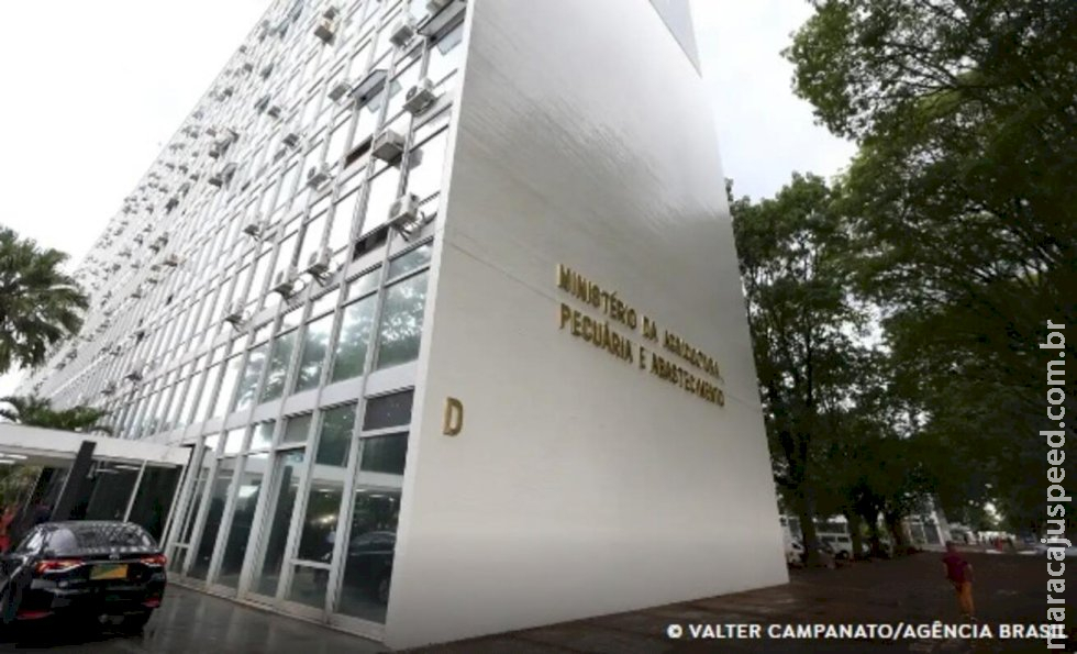 Mapa rebate empresas europeias e diz que país tem legislação rigorosa Mapa rebate empresas europeias e diz que país tem legislação rigorosa
