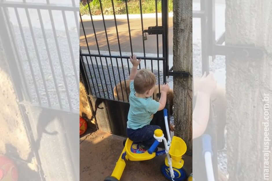 Menino abre portão de casa e decide Menino abre portão de casa e decide