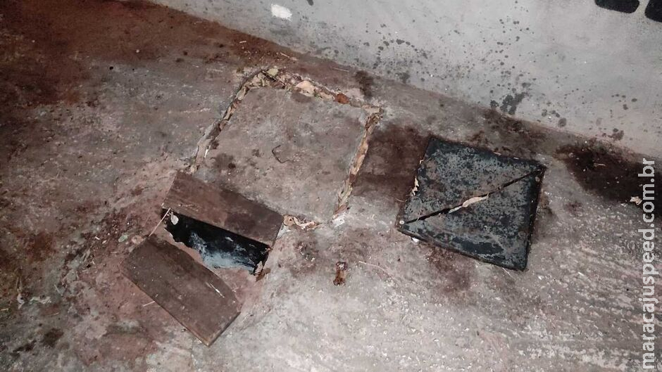 Moradores denunciam lixo e irregularidades em restaurante de sushi na Vila Margarida Moradores denunciam lixo e irregularidades em restaurante de sushi na Vila Margarida