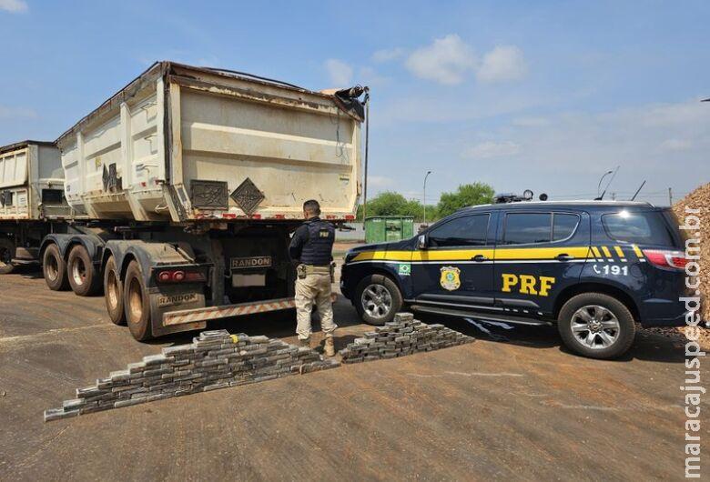 Motorista é flagrado com quase 130 kg de cocaína em caminhão na BR-262 Motorista é flagrado com quase 130 kg de cocaína em caminhão na BR-262