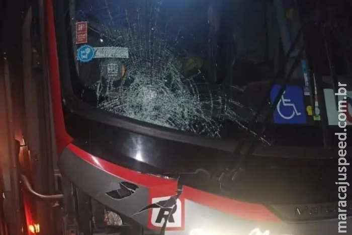Ônibus atropela grupo de romeiros na Dutra e deixa um morto Ônibus atropela grupo de romeiros na Dutra e deixa um morto