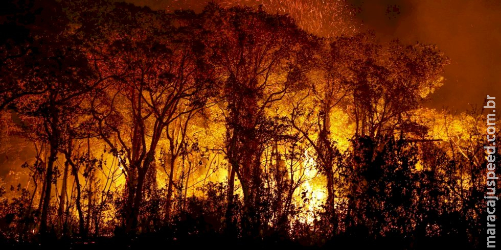 PF investiga incêndios criminosos no Pantanal PF investiga incêndios criminosos no Pantanal
