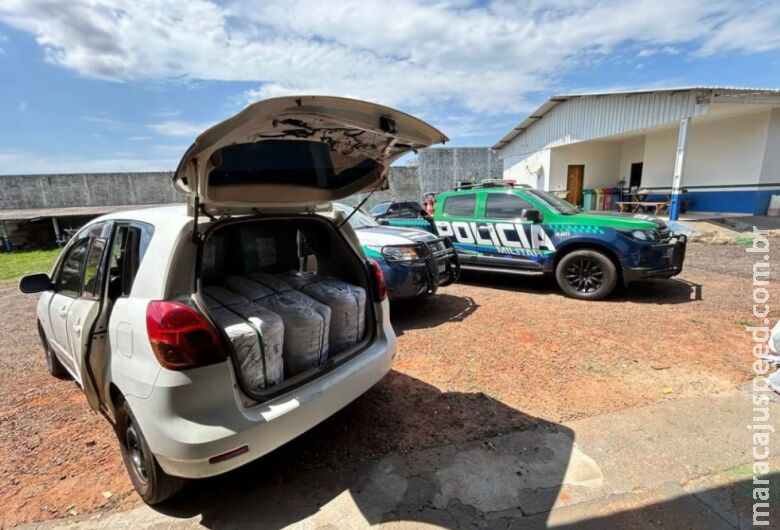 Polícia Militar Ambiental apreende maconha e prende traficante Polícia Militar Ambiental apreende maconha e prende traficante