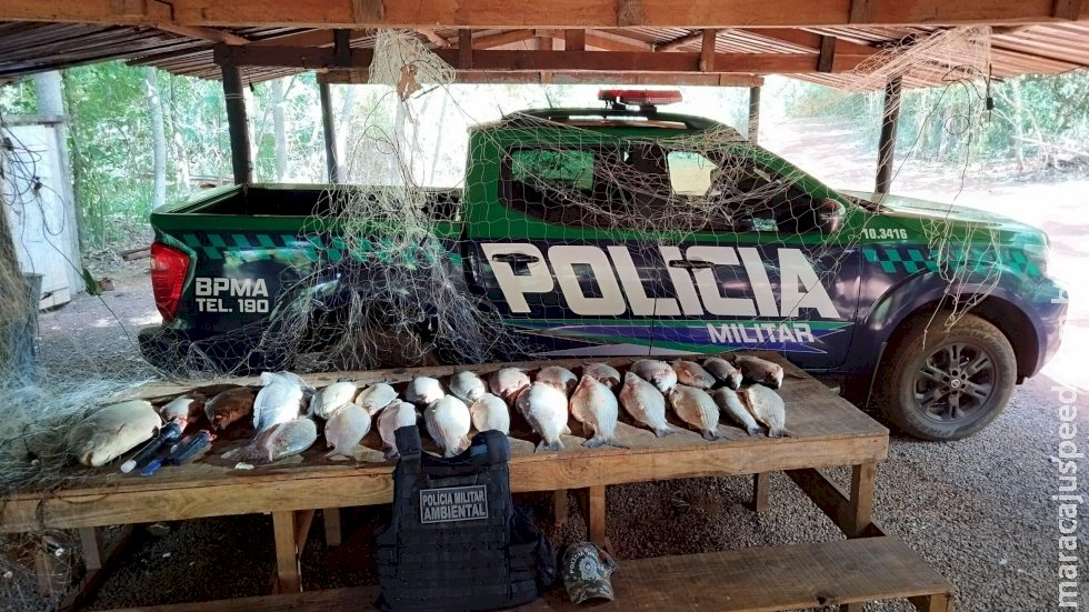 Quatro são presos com 56 kg de pescado ilegal no Rio Brilhante Quatro são presos com 56 kg de pescado ilegal no Rio Brilhante