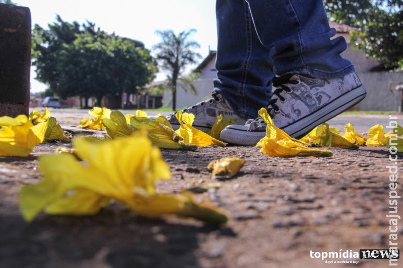 Sexta será de calor com previsão de chuva em algumas regiões de MS Sexta será de calor com previsão de chuva em algumas regiões de MS