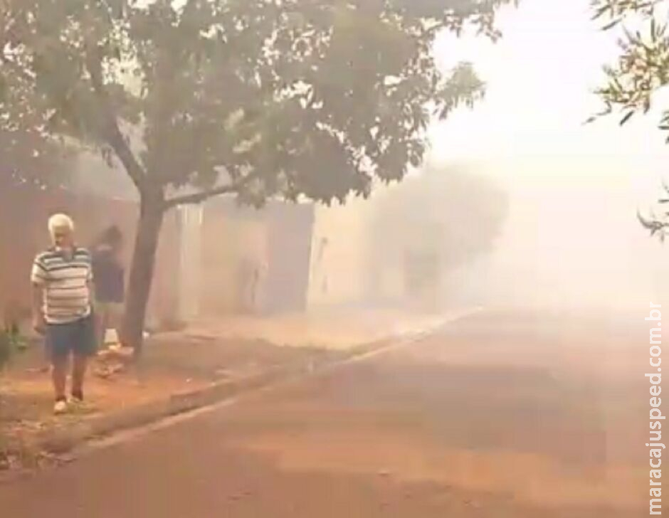 Vizinhos se desesperam com incêndio perto de barracos no Marcos Roberto Vizinhos se desesperam com incêndio perto de barracos no Marcos Roberto