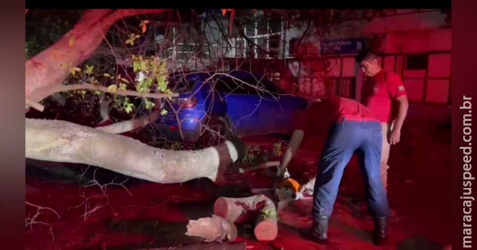 Árvore cai em cima de carro após forte ventania em Campo Grande Árvore cai em cima de carro após forte ventania em Campo Grande