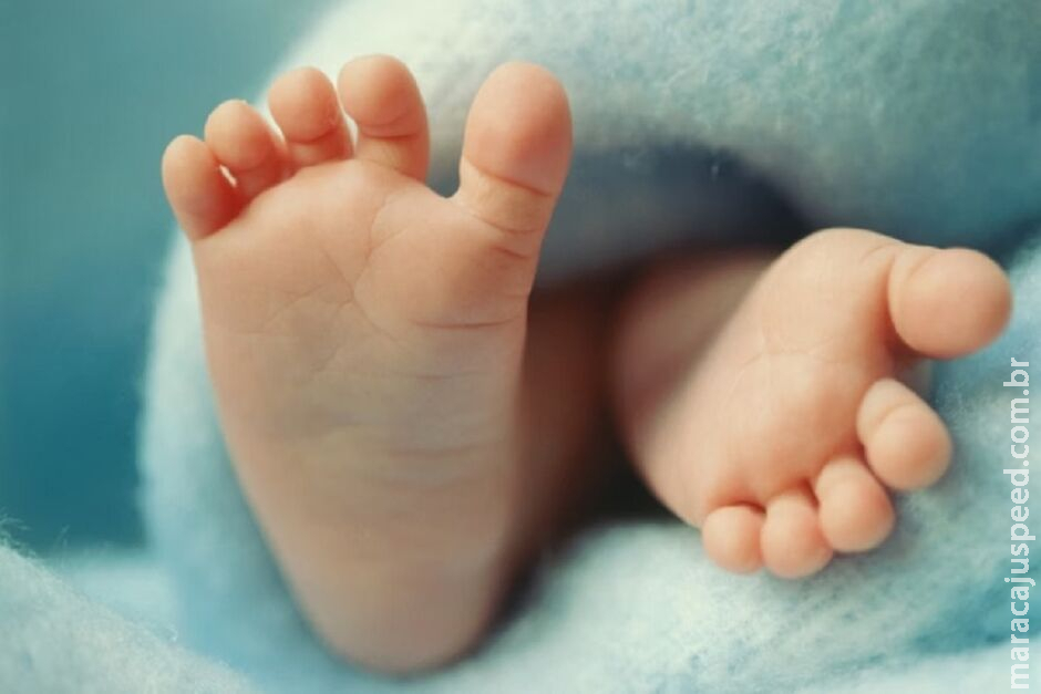 Bebê de 6 meses cai em balde com água do ar-condicionado e morre afogado Bebê de 6 meses cai em balde com água do ar-condicionado e morre afogado