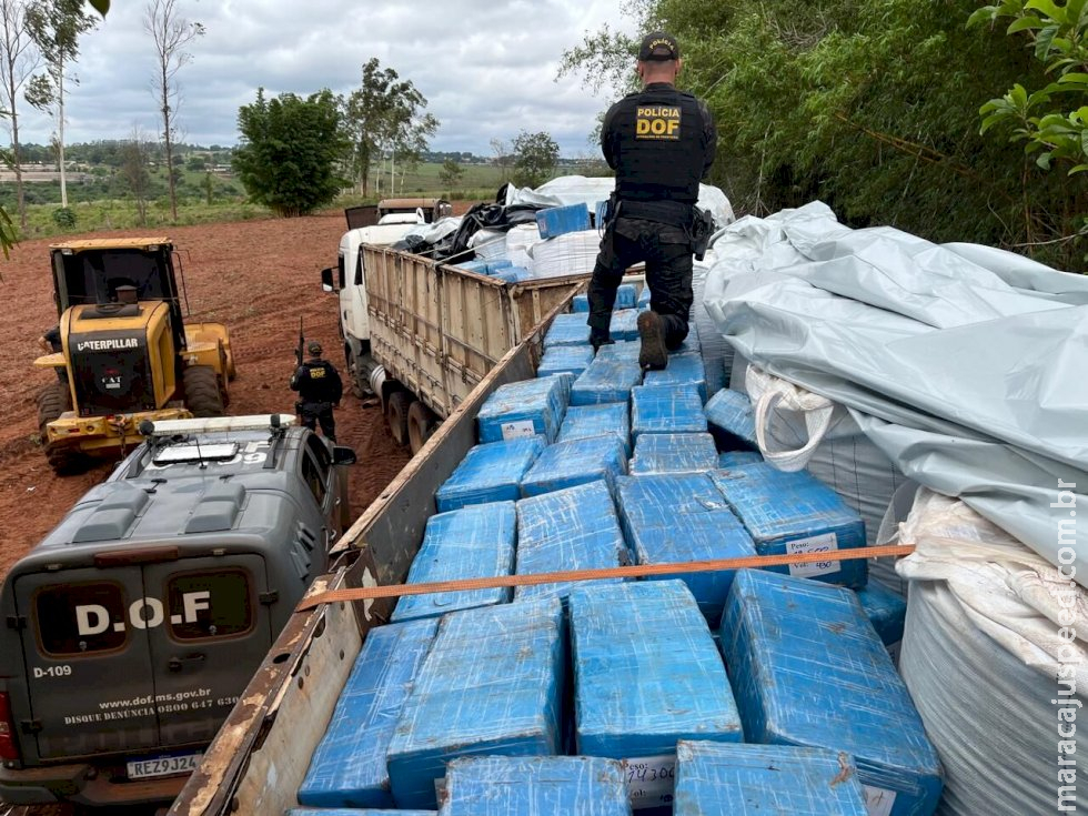 DOF apreende carreta com 8 toneladas de maconha em meio a carga de fertilizantes DOF apreende carreta com 8 toneladas de maconha em meio a carga de fertilizantes