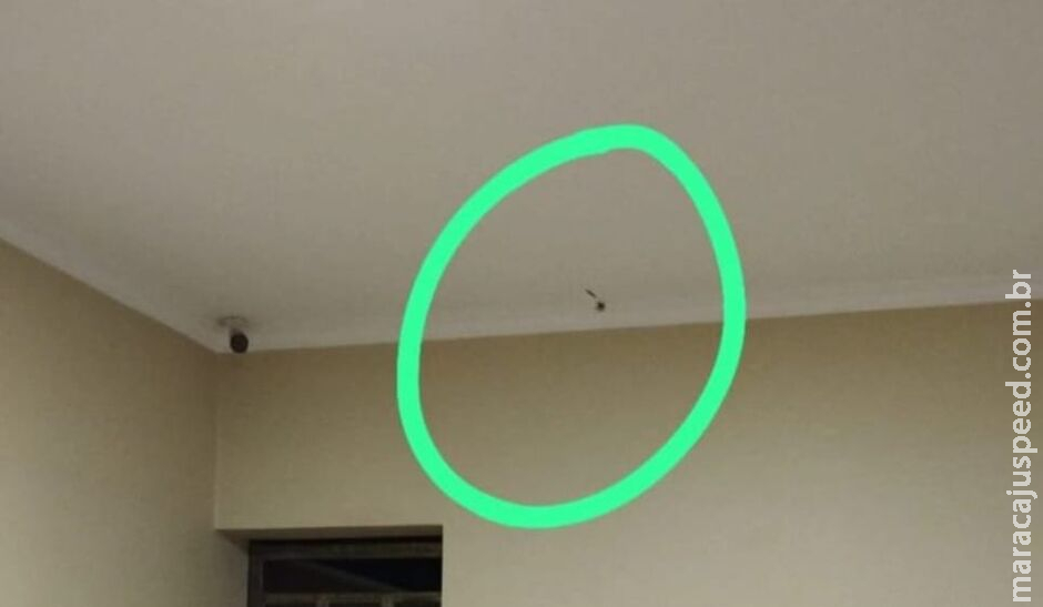 Homem dispara contra casa de comerciante na fronteira Homem dispara contra casa de comerciante na fronteira