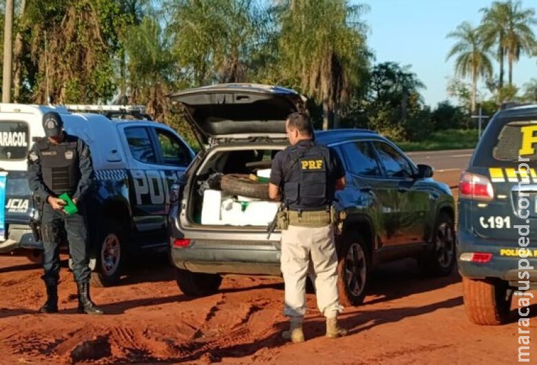 Polícia apreende 783 kg de maconha após perseguição na BR-267 em Jardim Polícia apreende 783 kg de maconha após perseguição na BR-267 em Jardim