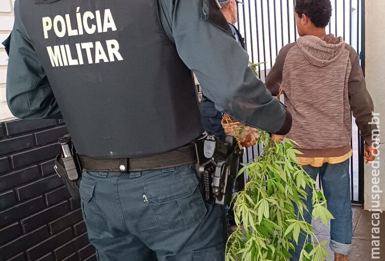 Polícia apreende três pés de maconha em Dourados e prende foragido da Justiça Polícia apreende três pés de maconha em Dourados e prende foragido da Justiça