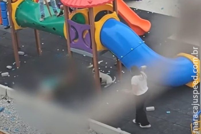 Sem dono por perto, Pitbulls atacam duas crianças em parquinho de SP Sem dono por perto, Pitbulls atacam duas crianças em parquinho de SP