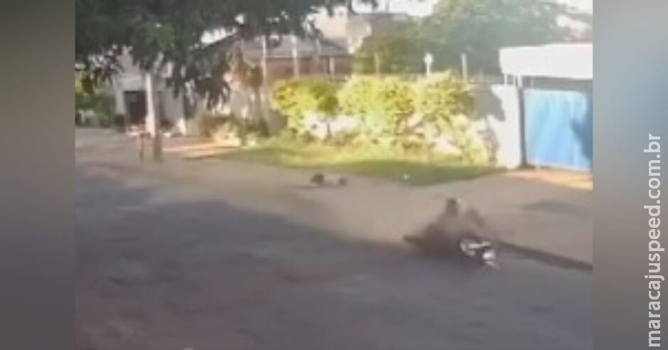 Choque prende motociclista que atropelou idosa e fugiu no Tiradentes Choque prende motociclista que atropelou idosa e fugiu no Tiradentes