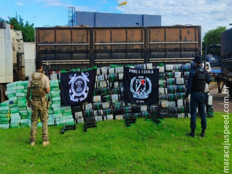 Cinco toneladas: Polícia apreende maconha em meio a carga de milho em carreta Cinco toneladas: Polícia apreende maconha em meio a carga de milho em carreta