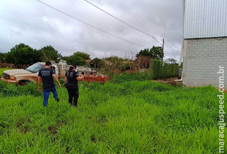 Corpo em avançado estado de decomposição é encontrado em Dourados Corpo em avançado estado de decomposição é encontrado em Dourados