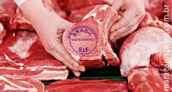 Exportações do agronegócio ultrapassam US$ 153 bilhões no acumulado de 2024 Exportações do agronegócio ultrapassam US$ 153 bilhões no acumulado de 2024