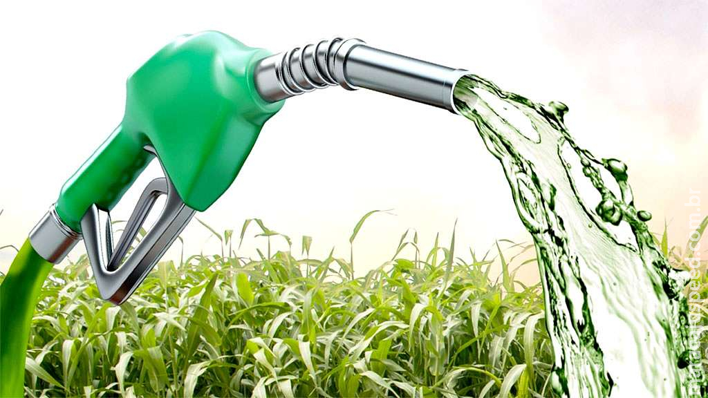 Gasolina mantém estável os preços médios, enquanto etanol volta a subir Gasolina mantém estável os preços médios, enquanto etanol volta a subir