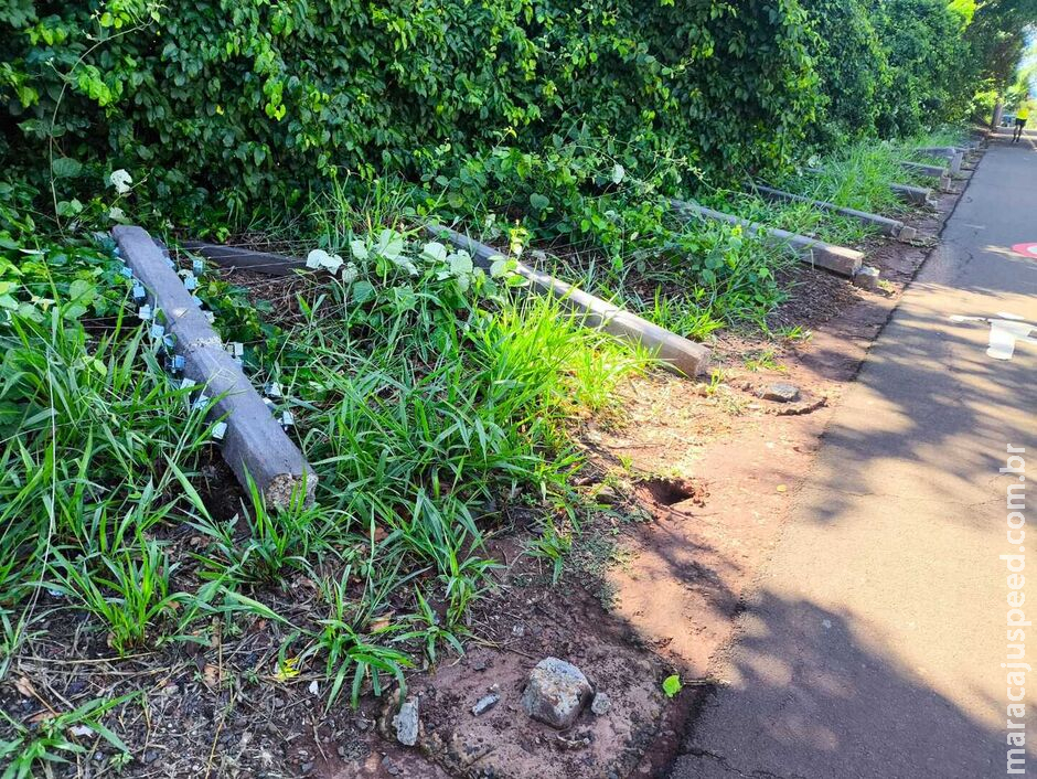 Motorista atinge viatura descaracterizada e derruba 40 postes de concreto no Parque dos Poderes Motorista atinge viatura descaracterizada e derruba 40 postes de concreto no Parque dos Poderes
