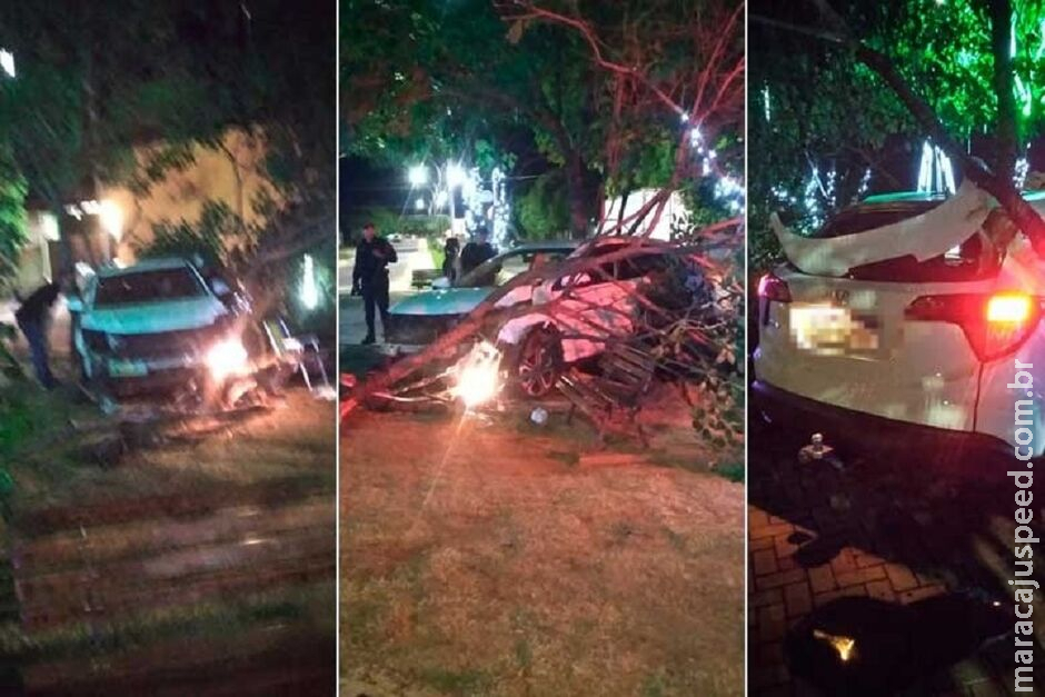 Motorista bêbada perde controle e bate em árvore em Aquidauana Motorista bêbada perde controle e bate em árvore em Aquidauana