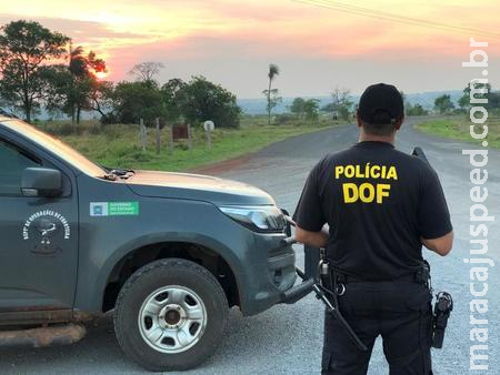 Mulher de Sidrolândia é detida pela DOF com maconha que disse que "era para o marido" Mulher de Sidrolândia é detida pela DOF com maconha que disse que "era para o marido"