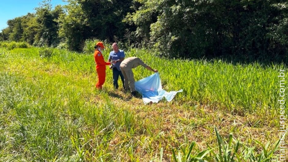 Mulher é encontrada morta às margens da BR-376, em Ivinhema