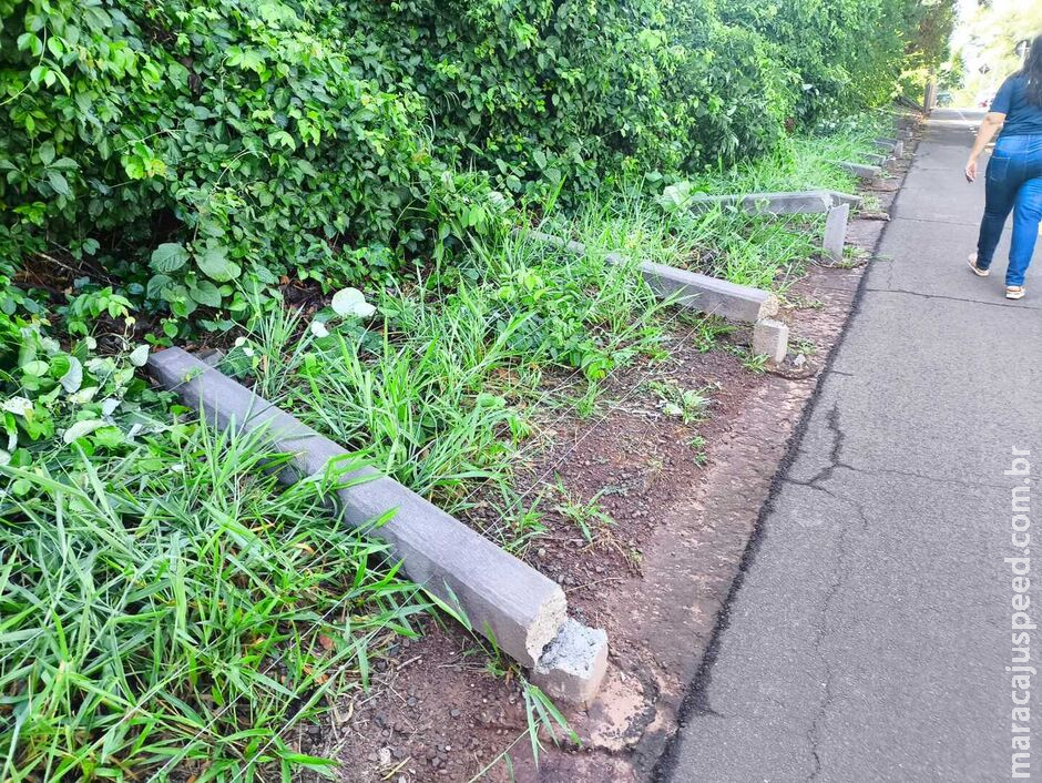 Passageira de carro que bateu em viatura no Parque dos Poderes está em estado grave Passageira de carro que bateu em viatura no Parque dos Poderes está em estado grave