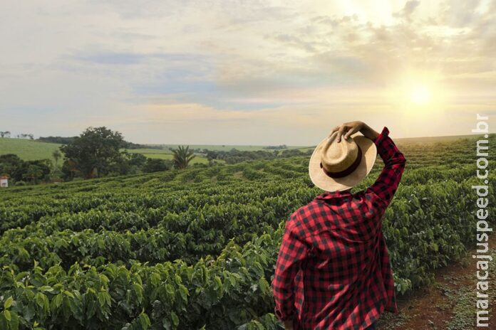 Produto mineiro chega a 86 países e rende R$ 37,2 bilhões Produto mineiro chega a 86 países e rende R$ 37,2 bilhões