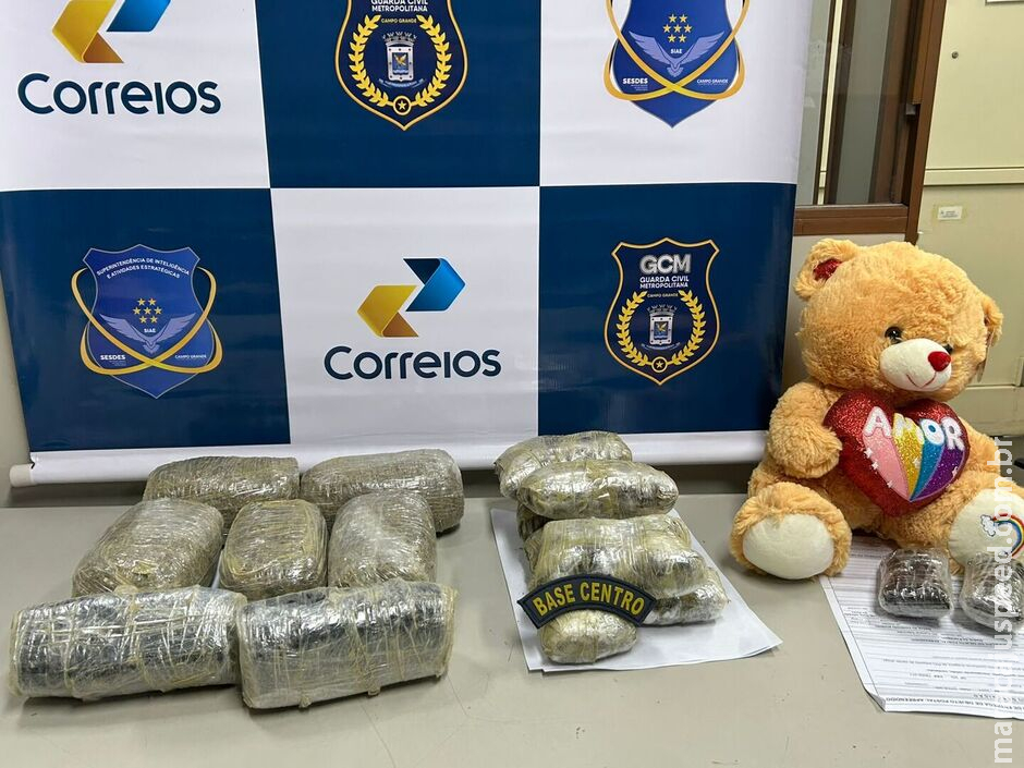 Traficantes tentam enviar drogas em ervas de tereré e ursinho em Campo Grande Traficantes tentam enviar drogas em ervas de tereré e ursinho em Campo Grande