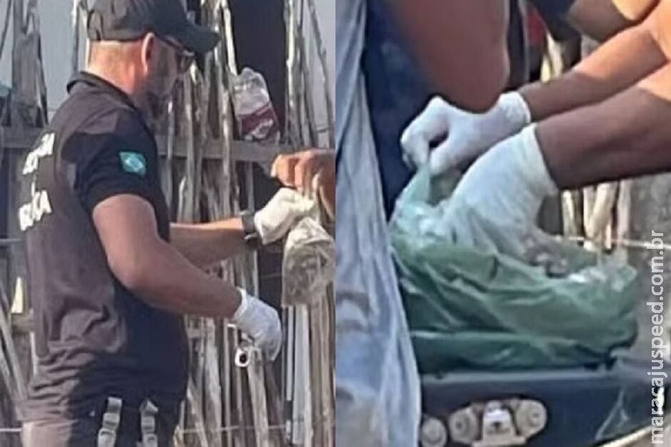 Adolescente morre sob suspeita de envenenamento. Família é internada Adolescente morre sob suspeita de envenenamento. Família é internada