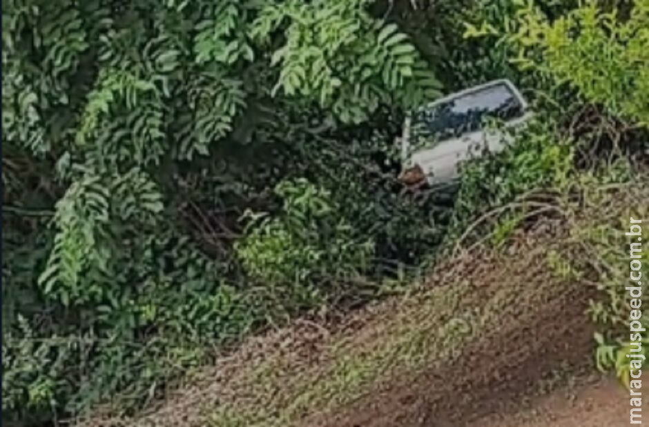 Bêbado, motorista entra com carro em mata e é acordado pela PM em Aquidauana Bêbado, motorista entra com carro em mata e é acordado pela PM em Aquidauana