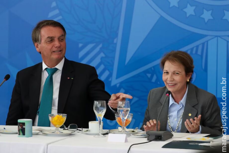 Bolsonaro detona senadora de MS e manda recado para Tereza Cristina Bolsonaro detona senadora de MS e manda recado para Tereza Cristina