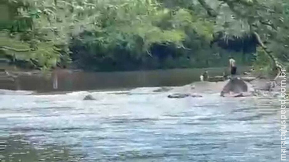 Bombeiros procuram por jovem que desapareceu no rio Dourados em MS Bombeiros procuram por jovem que desapareceu no rio Dourados em MS