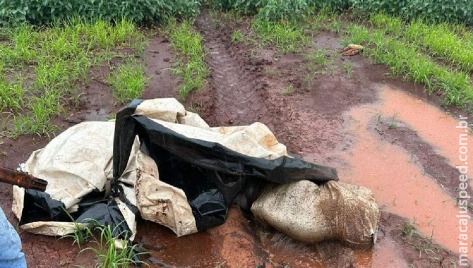 Corpo de homem é encontrado enrolado em sacos plásticos em Ponta Porã Corpo de homem é encontrado enrolado em sacos plásticos em Ponta Porã