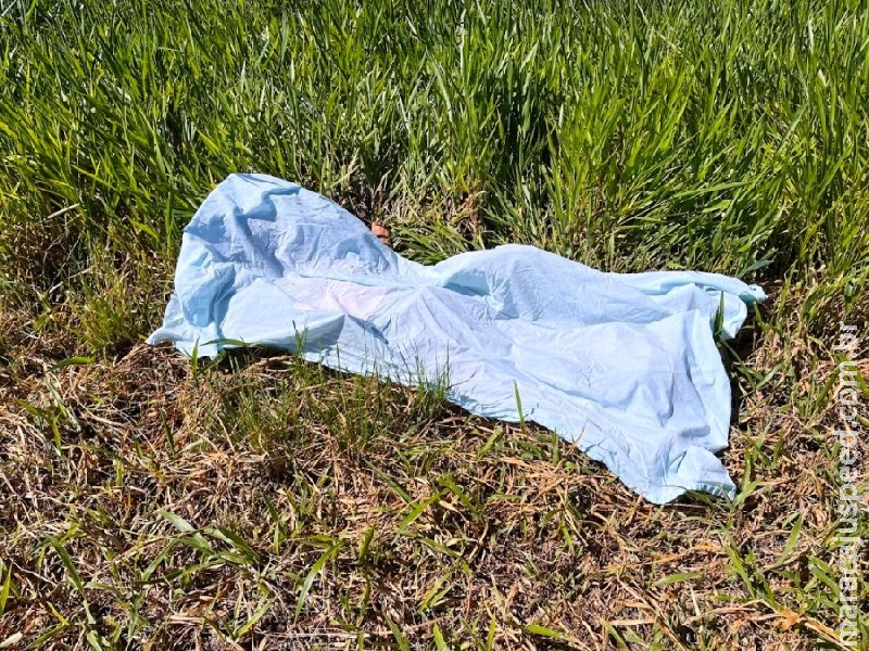 Homem é encontrado morto com suspeita de machadadas na cabeça em Amambai Homem é encontrado morto com suspeita de machadadas na cabeça em Amambai