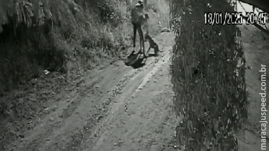 Idoso é socorrido em estado grave após ataque de pitbull no Jardim Colúmbia Idoso é socorrido em estado grave após ataque de pitbull no Jardim Colúmbia