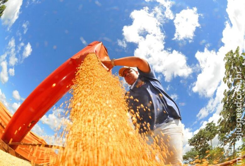 Mato Grosso do Sul fecha ano com superávit de US$ 7,1 bilhões na balança comercial