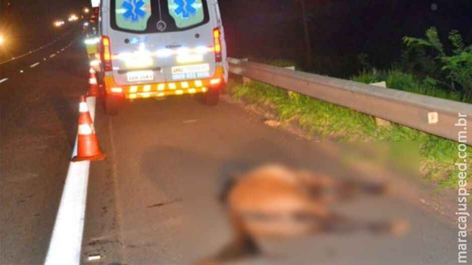 Motociclista e cavalo morrem em batida em rodovia na fronteira com Paraguai Motociclista e cavalo morrem em batida em rodovia na fronteira com Paraguai