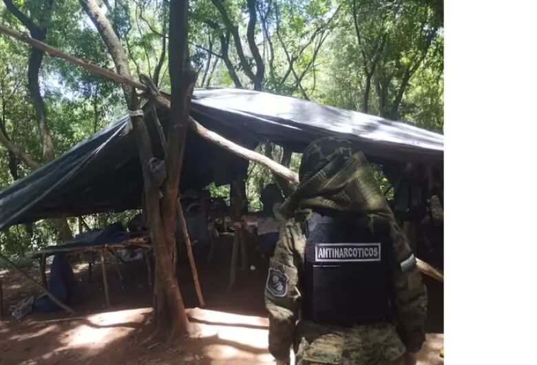Operação fecha base do tráfico com 12 hectares de maconha Operação fecha base do tráfico com 12 hectares de maconha