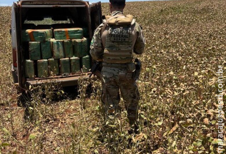 Polícia apreende quase 1t de maconha próximo da divisa do PR com o MS Polícia apreende quase 1t de maconha próximo da divisa do PR com o MS