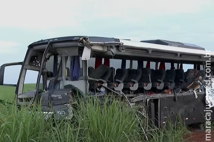 Acidente com ônibus universitário e carreta deixa 12 mortos em SP