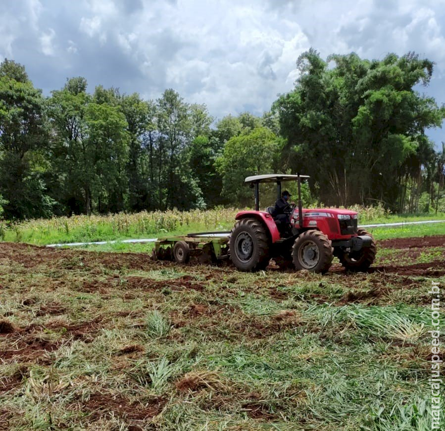 Agricultores já podem aderir ao “Desenrola Rural Agricultores já podem aderir ao “Desenrola Rural