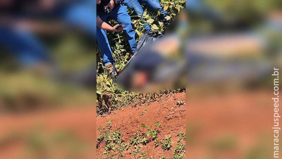 Corpo é encontrado dentro de saco preto em plantação em Ponta Porã Corpo é encontrado dentro de saco preto em plantação em Ponta Porã