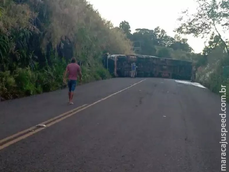 Douradense morre após tombar carreta carregada com porcos no RS Douradense morre após tombar carreta carregada com porcos no RS