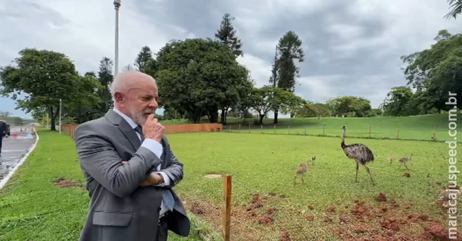 Lula despenca 10 pontos em nova pesquisa; povo furioso com economia Lula despenca 10 pontos em nova pesquisa; povo furioso com economia
